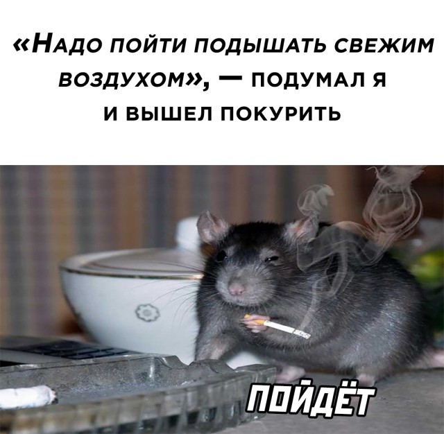 Алкопост 20.02.21