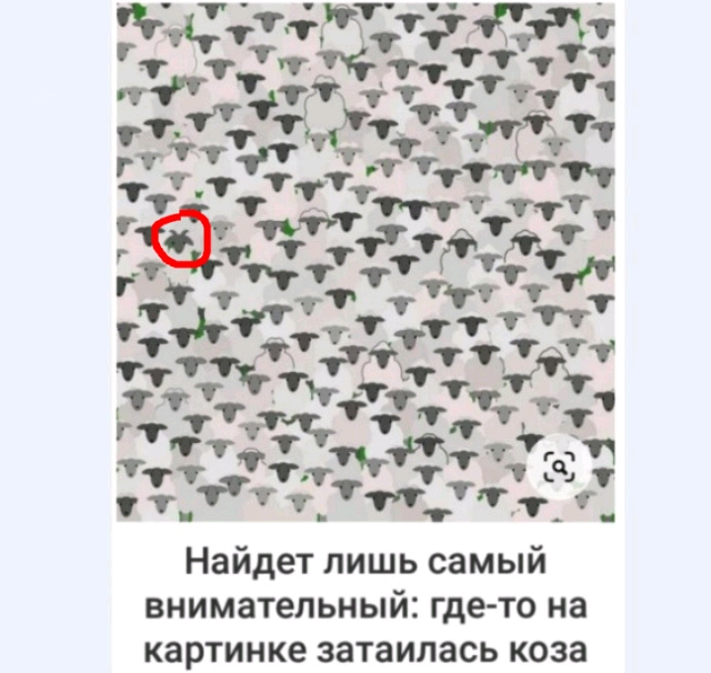 Картинки и мемы для настроения 23.02.21