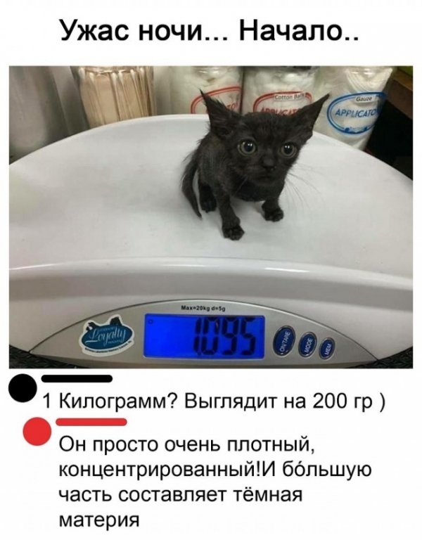 Картинки и мемы для настроения 023