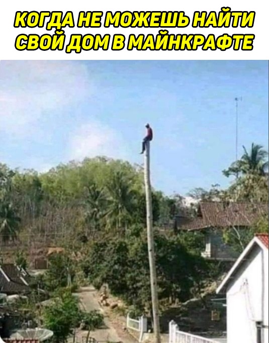 Весёлый полтишок 30.03