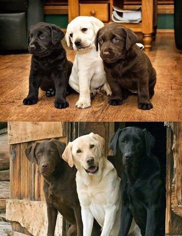 Так себе картинки 14.08.21