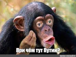 История с РСП в скриншотах. С фоткой попы этой самой РСП