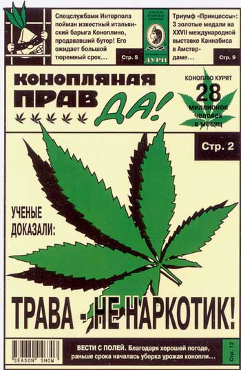 Симоньян под лупой