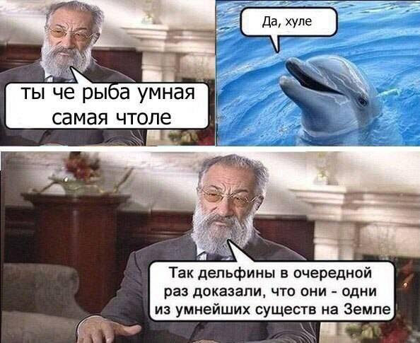 Да что же это такое-то, А?