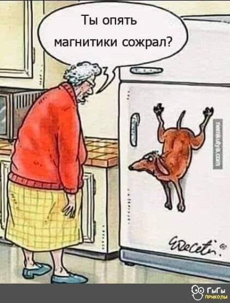 Фото-винегрет-5. Картинки ниапчём и обо всём