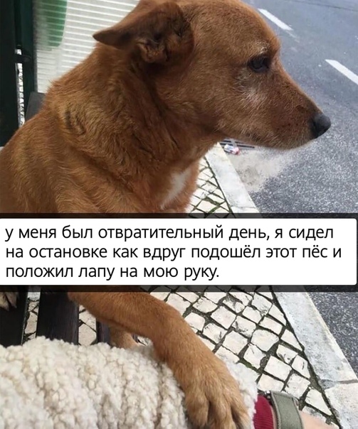 Немного картинок для настроения - 119