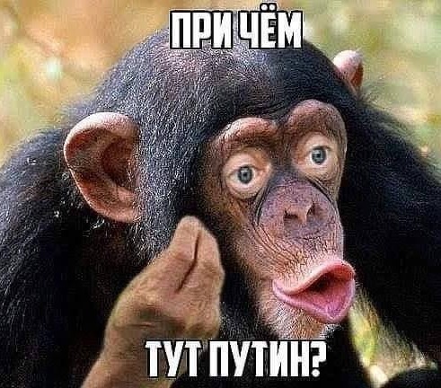 Масштабная полицейская спецоперация прямо сейчас в центре Москвы — винтят мажоров на дорогущих спортивных тачках.