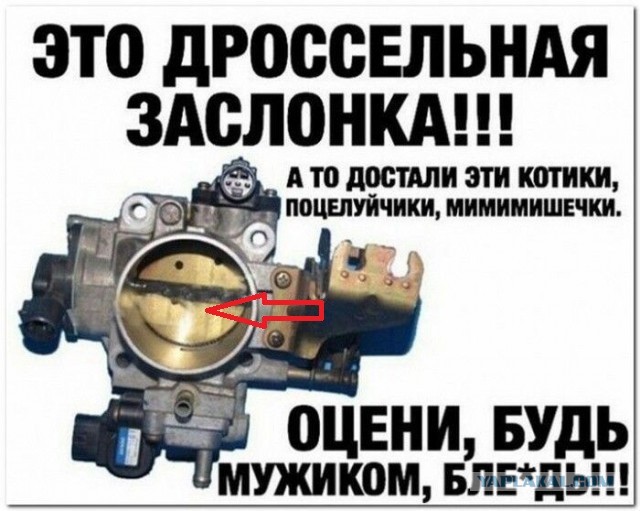 На злобу дня