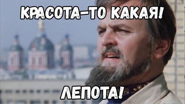 Тренажёр для тыгыдымского кота