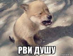Когда услушал песни Пашкета