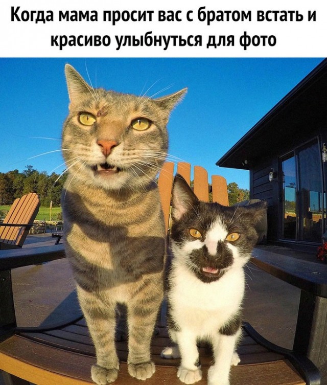 Немного картинок для настроения - 127