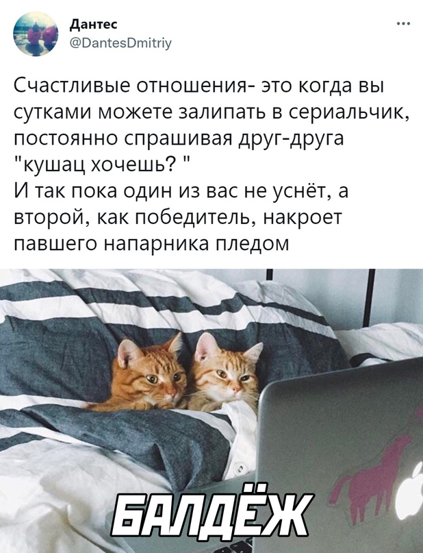 Картинки и мемы для настроения - 131