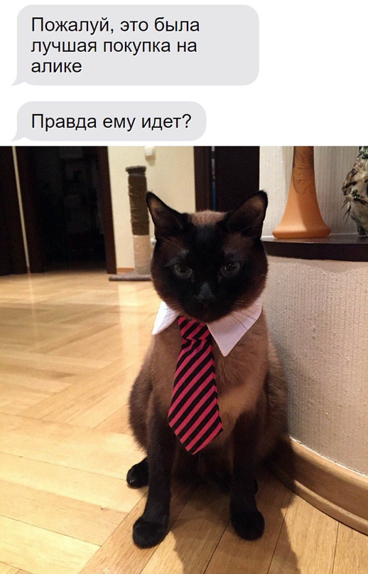 Картинки и мемы для настроения - 131