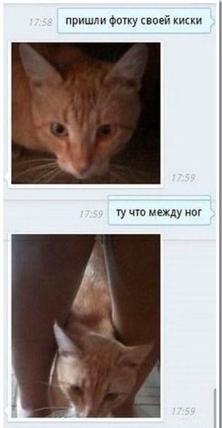 Всего понемногу. От 04.04.