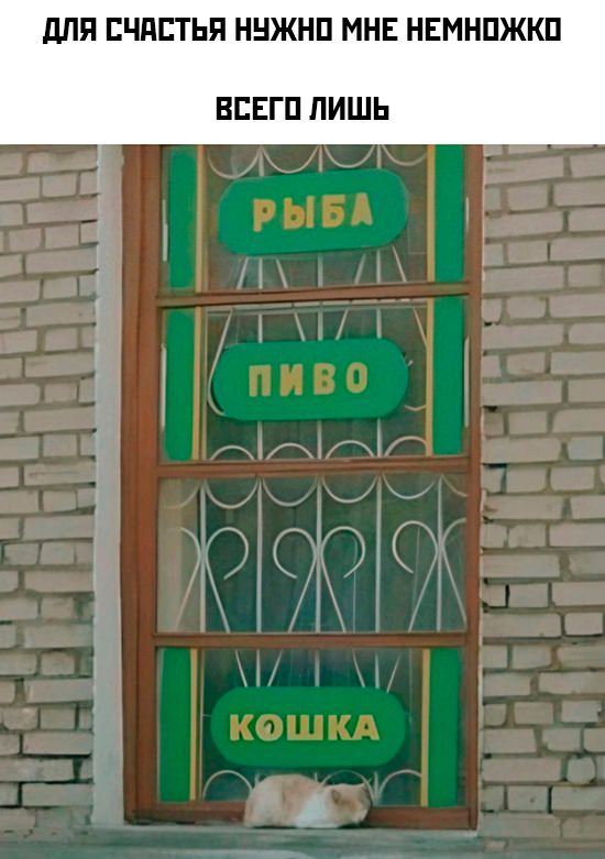 Картинки и мемы, всяко разно - 185