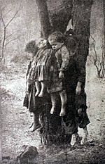 Мифы о великой войне