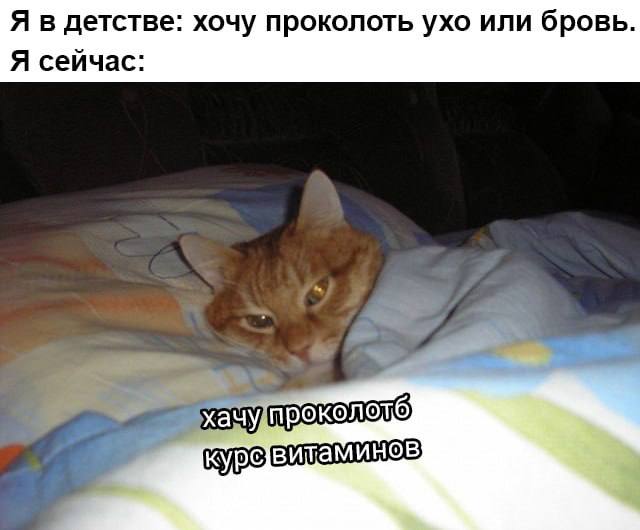 Так себе картинки 06.12.23
