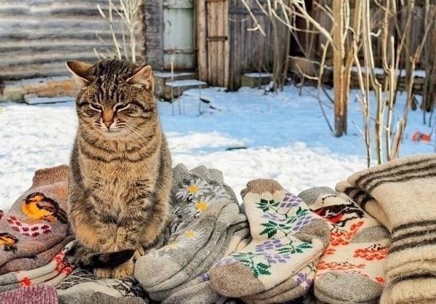 Валенки