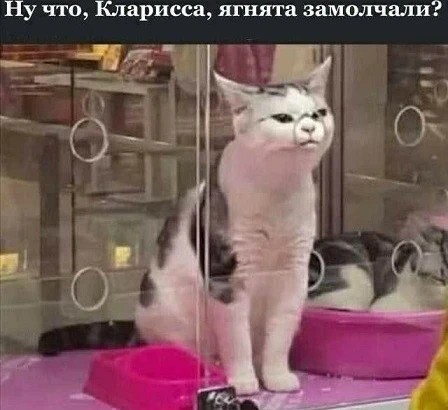 Народная меДИЧина 3015