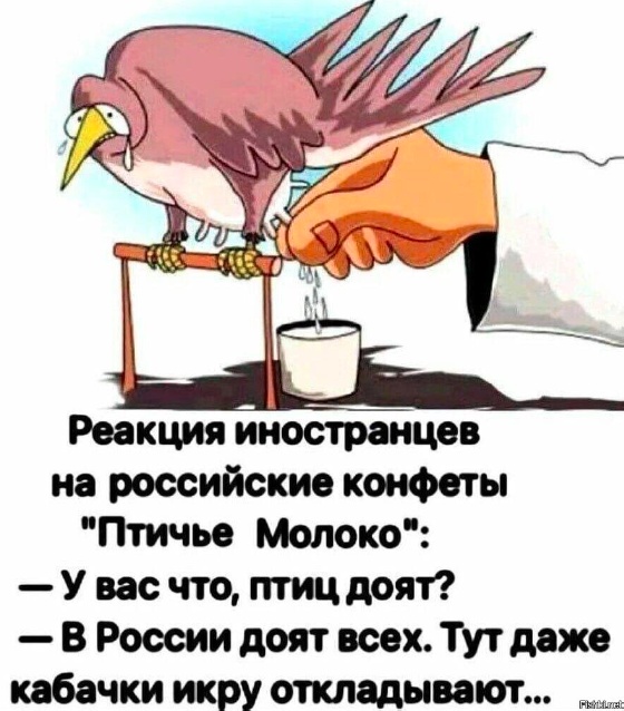 Всего понемногу. От 25.02.24
