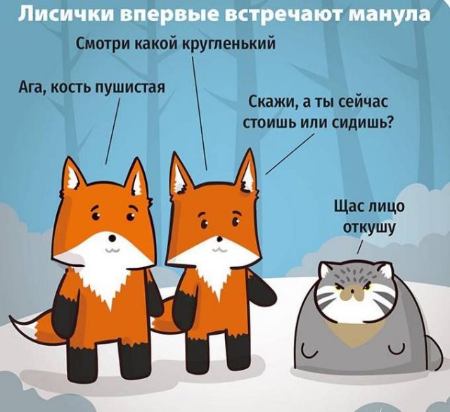 Так себе картинки 21.05.24