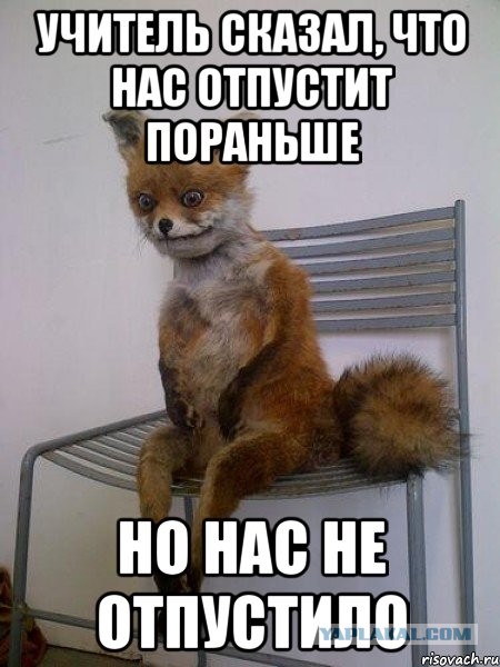 Вот это поворот)