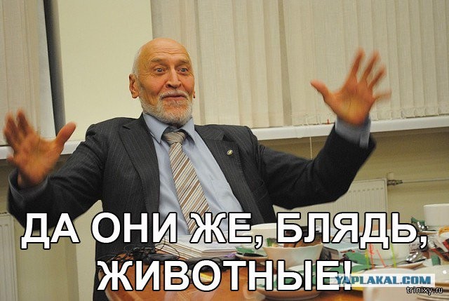 В Махачкале водитель жестко сбил силовиков, заблокировавших его машину