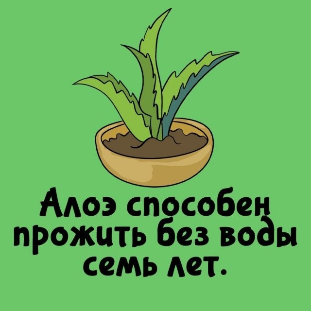 Подборка интересных фактов на все случаи жизни