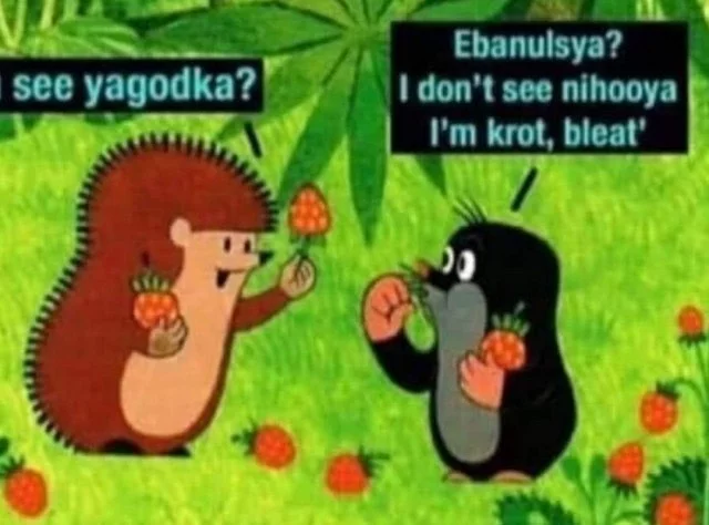 Ну здравствуй школа