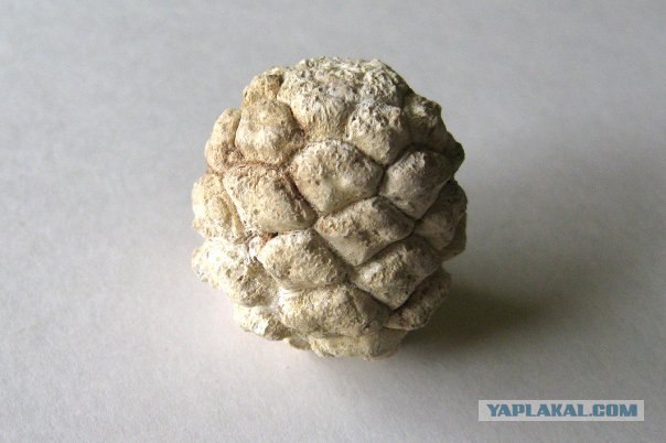 История мира у нас под ногами