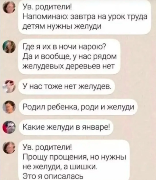 Так себе картинки 15.02.25
