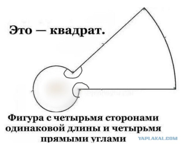 Так себе картинки 20.03.25