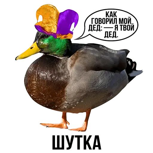 Укуренные картинки
