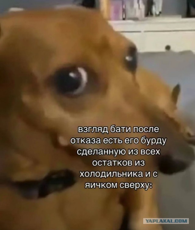 Интернет-мемчики на вторник и рабочее место