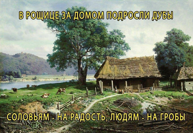 Начинайте свой день с чего-то положительного