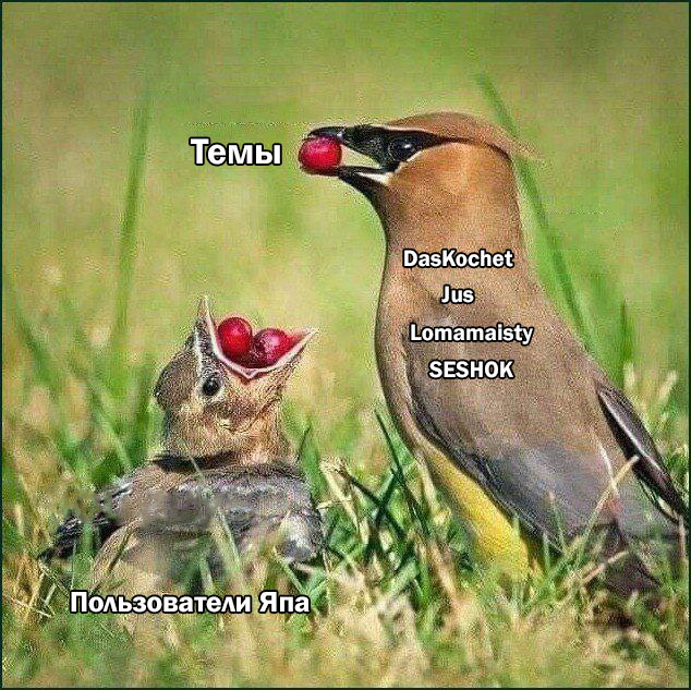 Продолжал терпеливо сохранять мемы