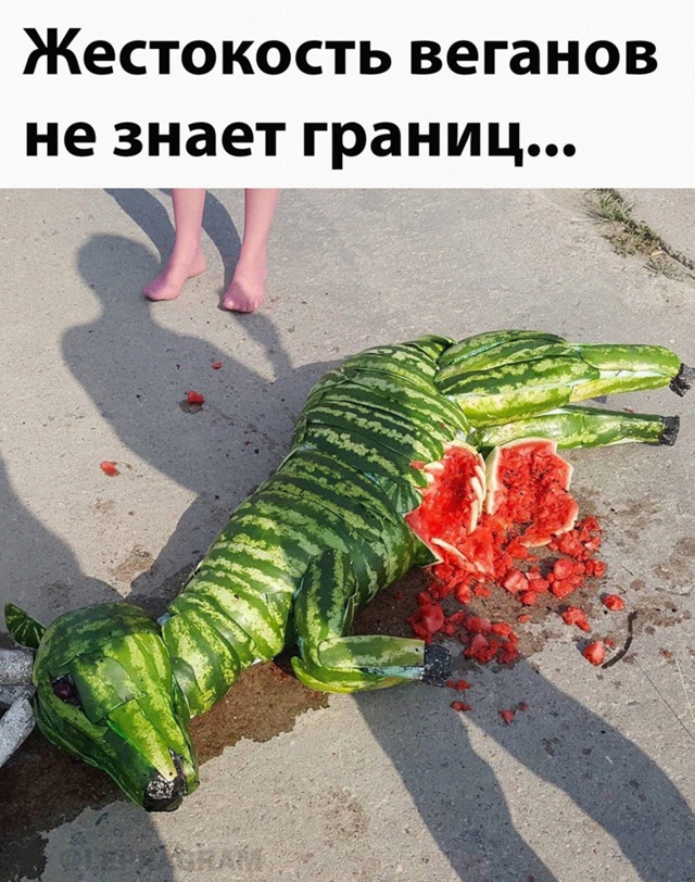 Картинки для деградации 13 (разной степени свежести)