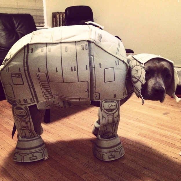 Веселое настроение в картинках (11.08.2025)