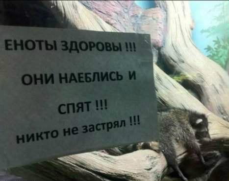 Баянистой пост