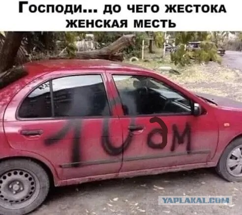 Мотивы её поступка пока неизвестны