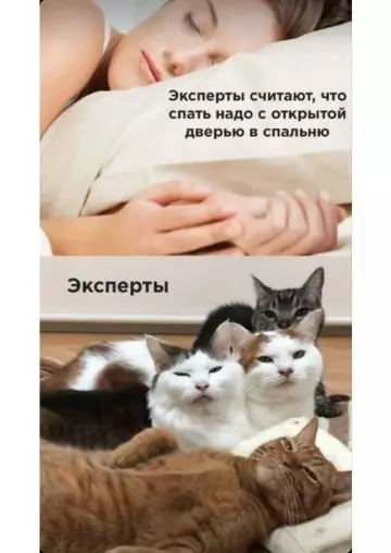 Картиночки, баянчики 10 марта