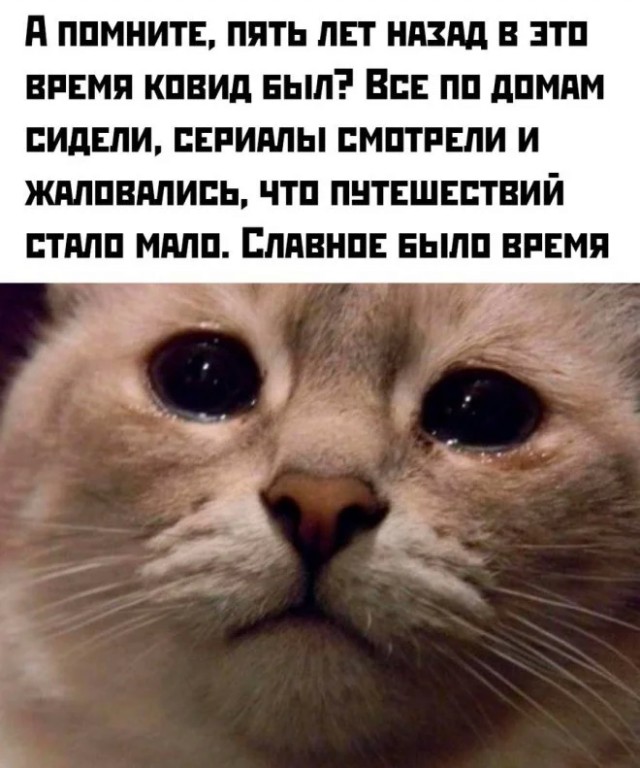 Вот ещё один элемент рукотворного кризиса.