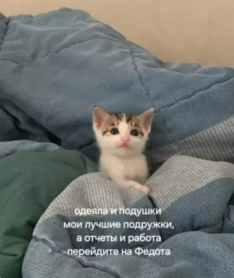 Котямбосы