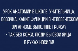 Комар укусил россиянина в яичко и заразил его паразитами