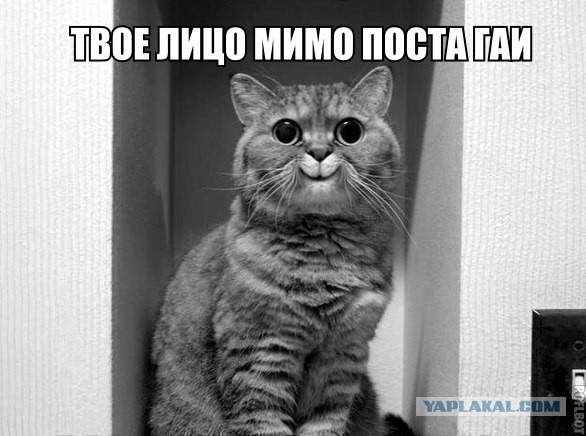 Картинки, объявления - 2