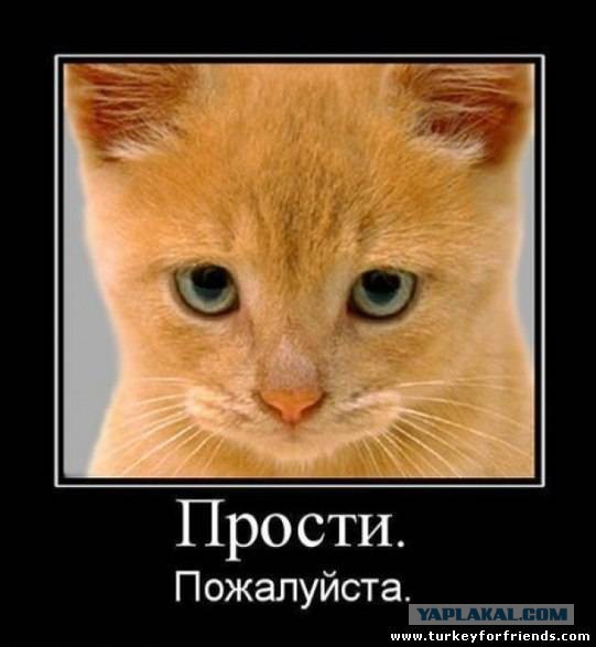 Аватары на заказ