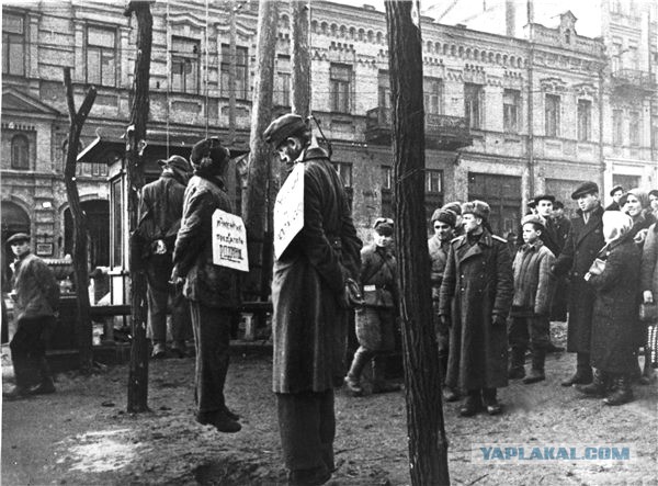 Очередное доказательство "кровавого режима"