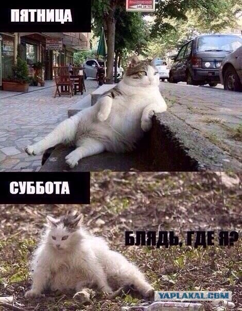 Всех с ПЯТНИЦОЙ!