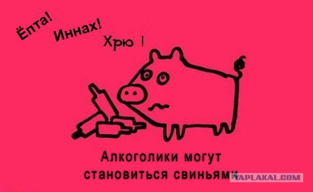 Забавные минифакты в картинках