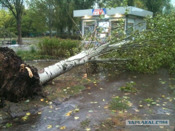 В Ростовской области бушует ураган